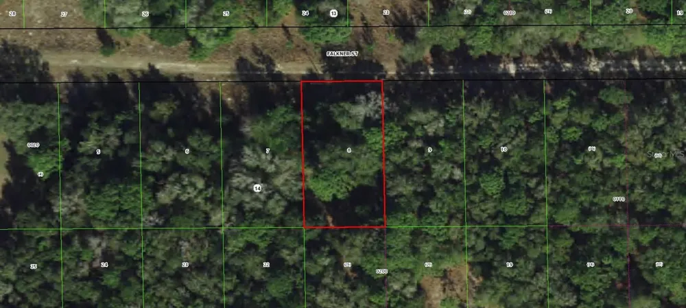 1913 FALKNER STREET Inverness, FL 34453