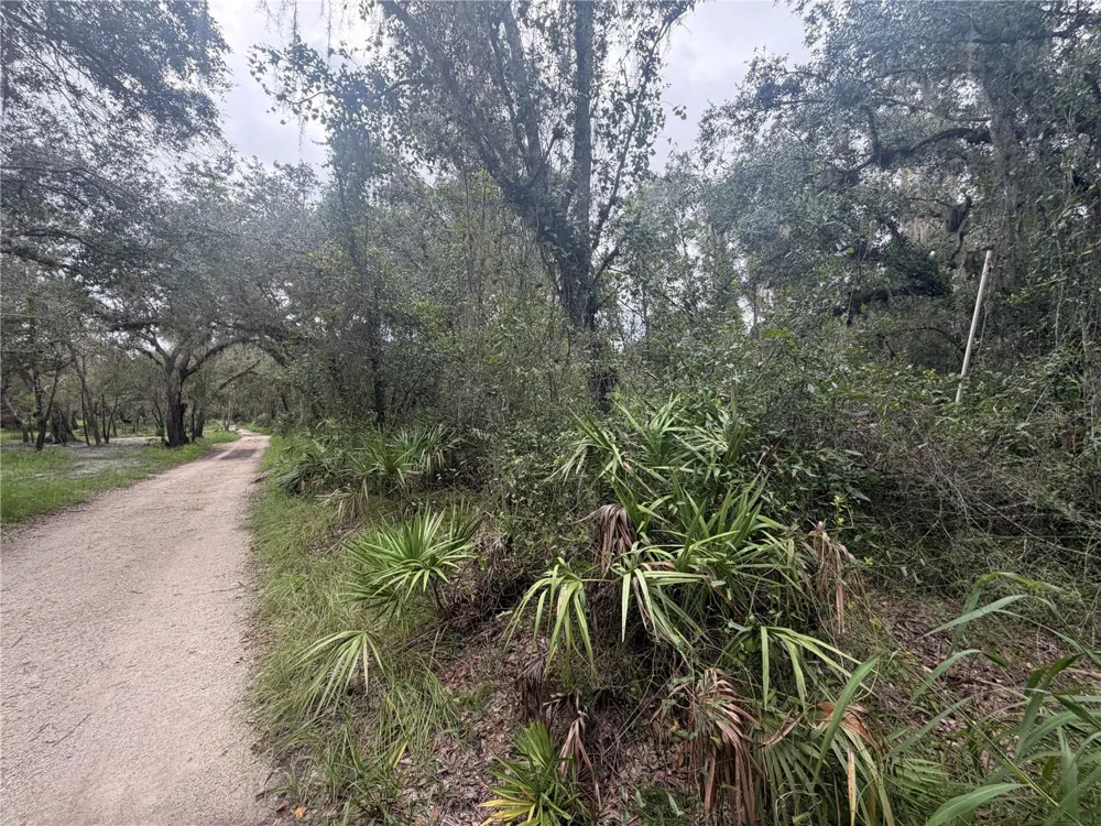 1234 NW PEACE POINTE DRIVE Arcadia, FL 34266