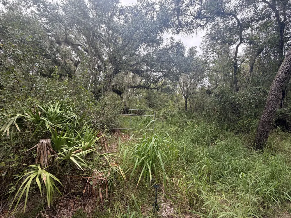 1234 NW PEACE POINTE DRIVE Arcadia, FL 34266