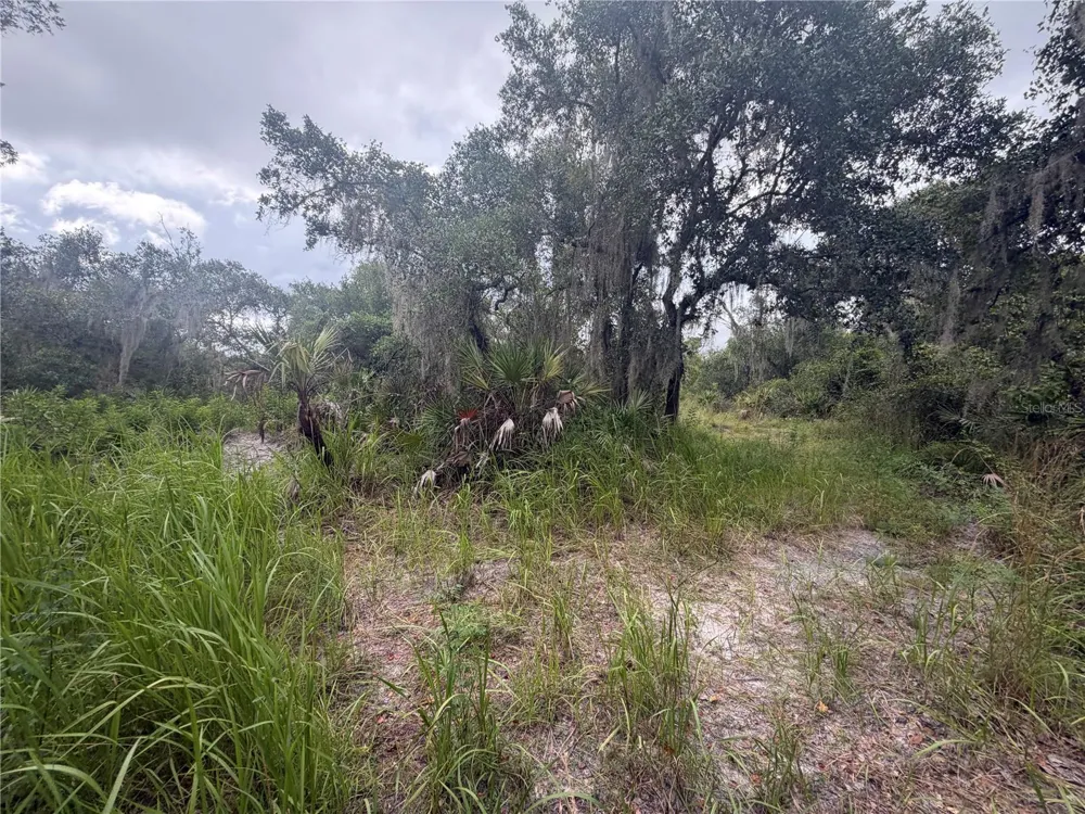 1234 NW PEACE POINTE DRIVE Arcadia, FL 34266