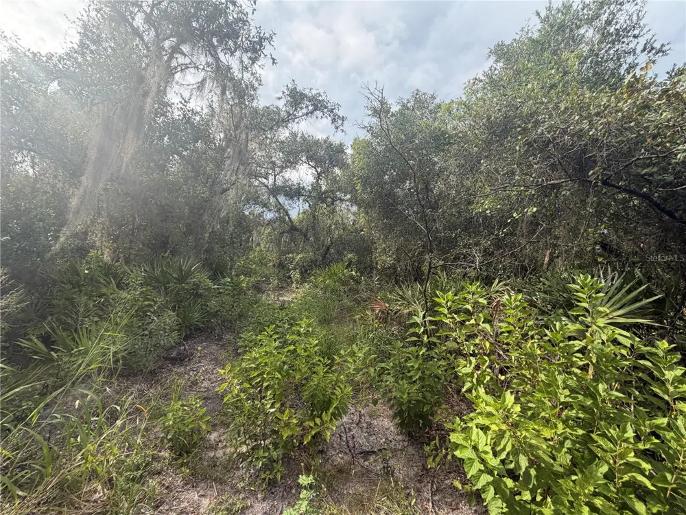 1234 NW PEACE POINTE DRIVE Arcadia, FL 34266