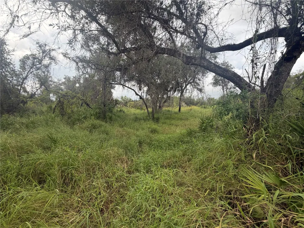 1234 NW PEACE POINTE DRIVE Arcadia, FL 34266