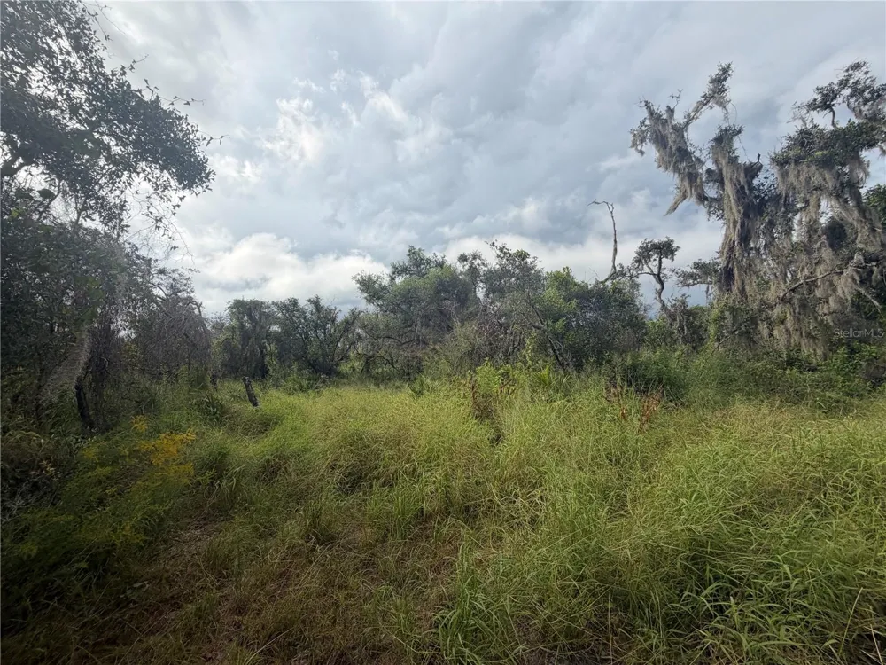1234 NW PEACE POINTE DRIVE Arcadia, FL 34266