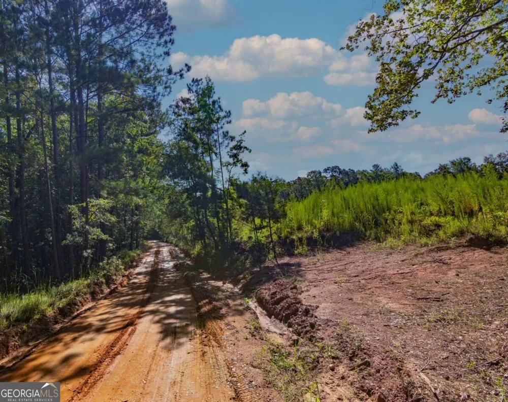 TRACT 8 Carlisle Gap RD Woodland, GA 31836