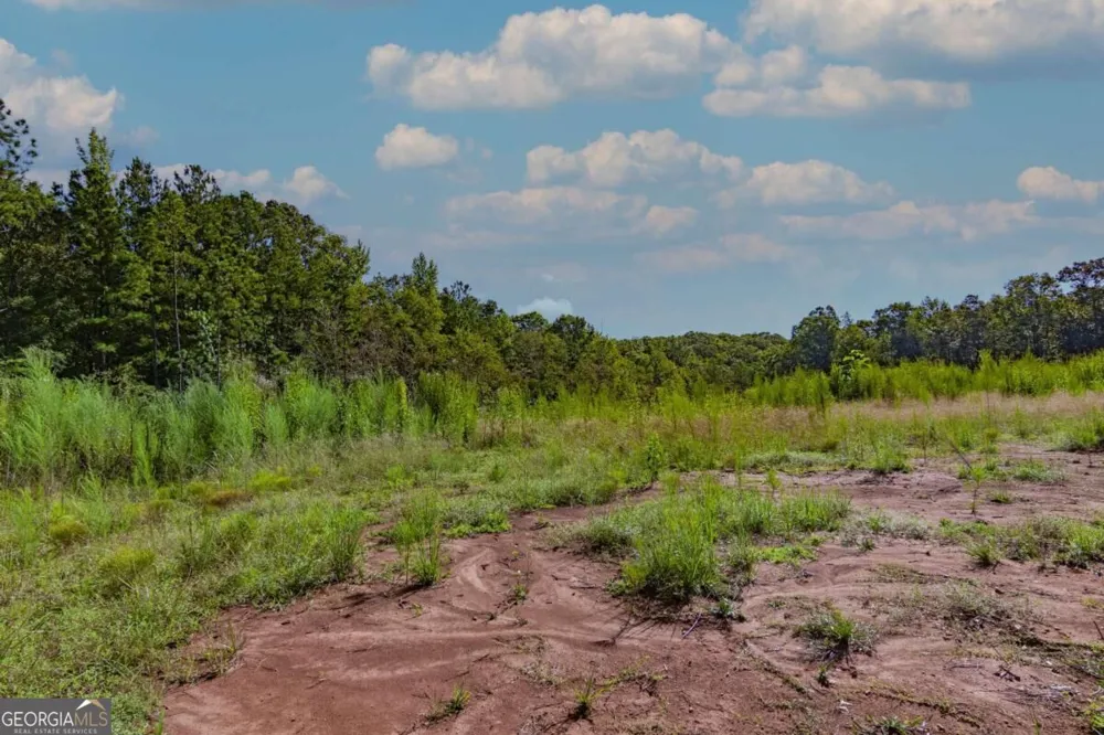 TRACT 8 Carlisle Gap RD Woodland, GA 31836