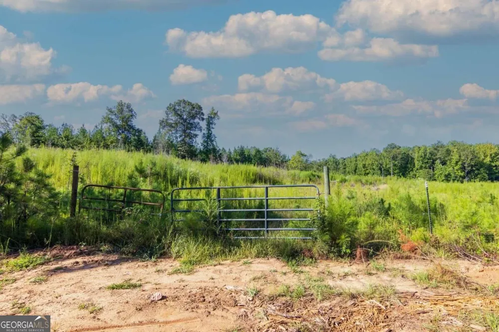TRACT 8 Carlisle Gap RD Woodland, GA 31836