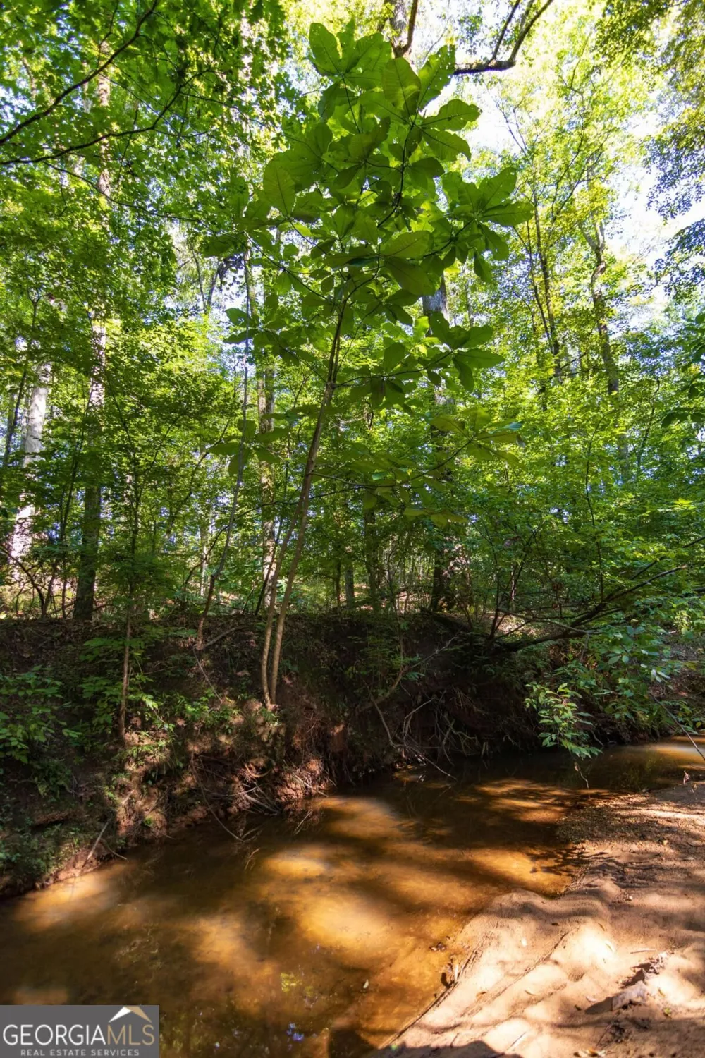 TRACT 8 Carlisle Gap RD Woodland, GA 31836