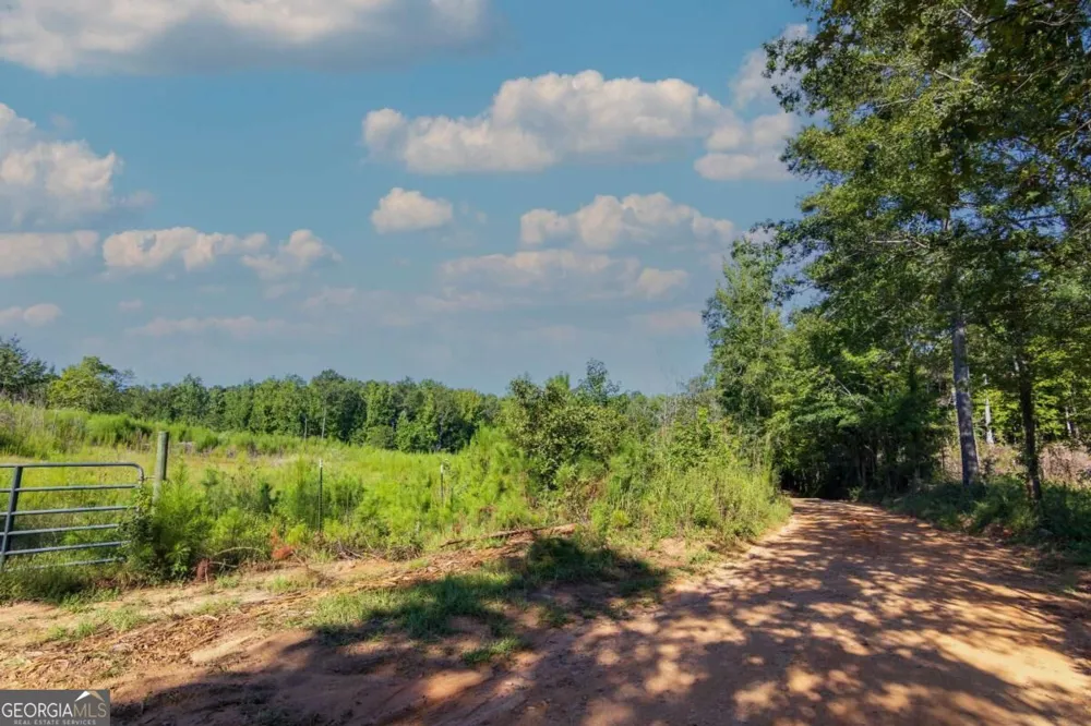TRACT 8 Carlisle Gap RD Woodland, GA 31836