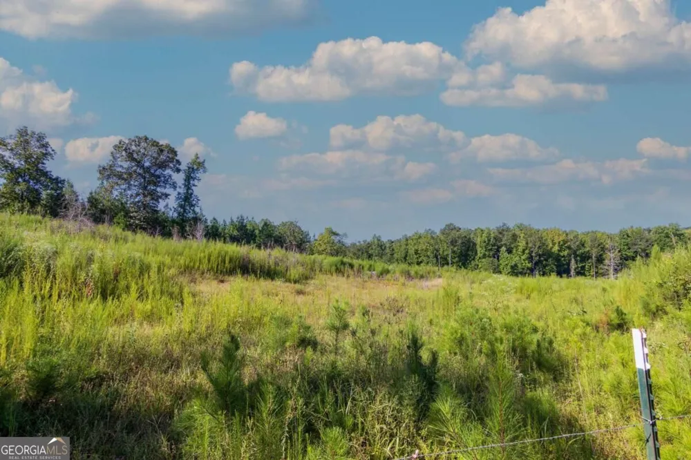 TRACT 8 Carlisle Gap RD Woodland, GA 31836
