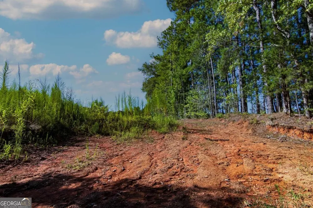 TRACT 8 Carlisle Gap RD Woodland, GA 31836