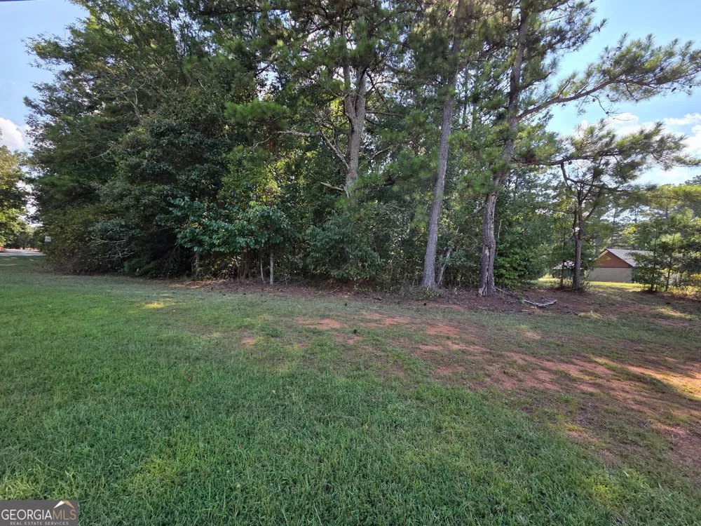 8 Rover Rd Williamson, GA 30292