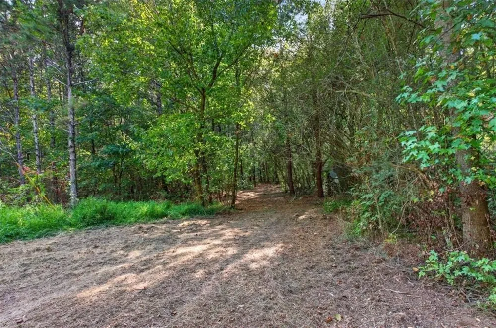 240 Collins Place Waleska, GA 30183