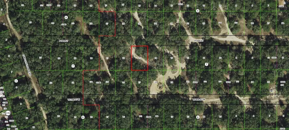3003 POLK STREET W Inverness, FL 34453