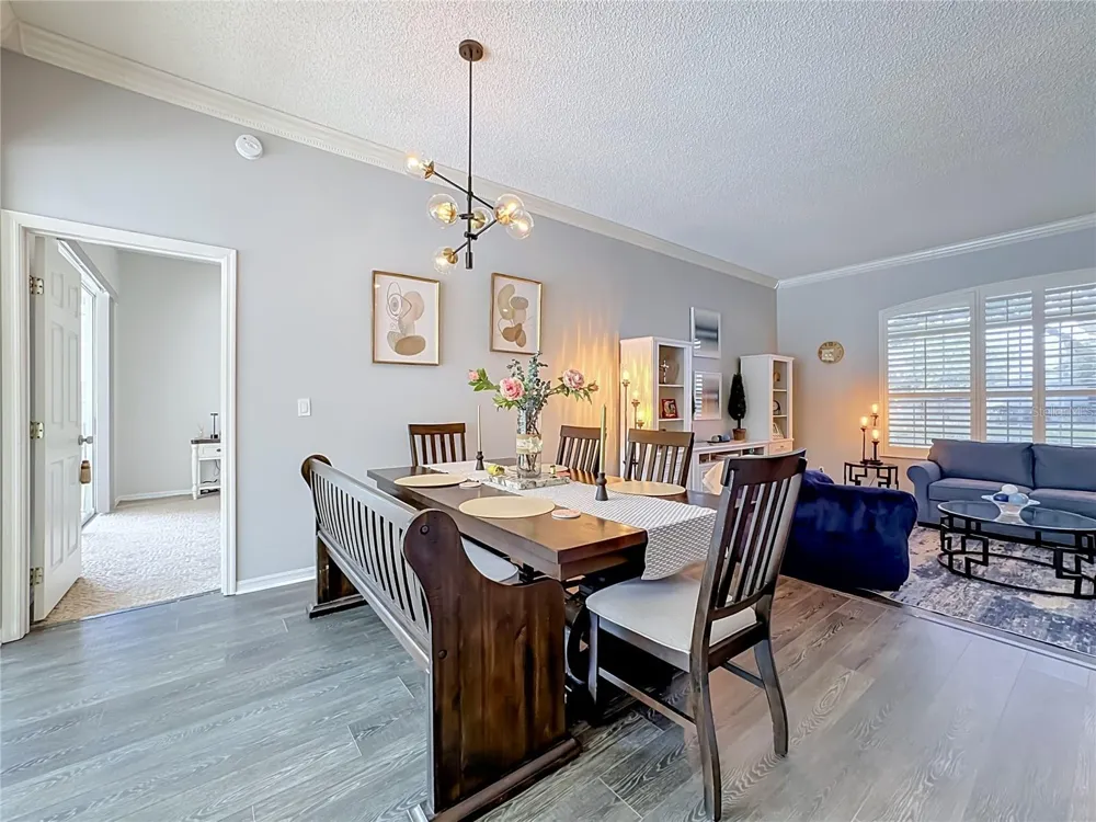 3907 ROLLING TERRACE LANE Valrico, FL 33596