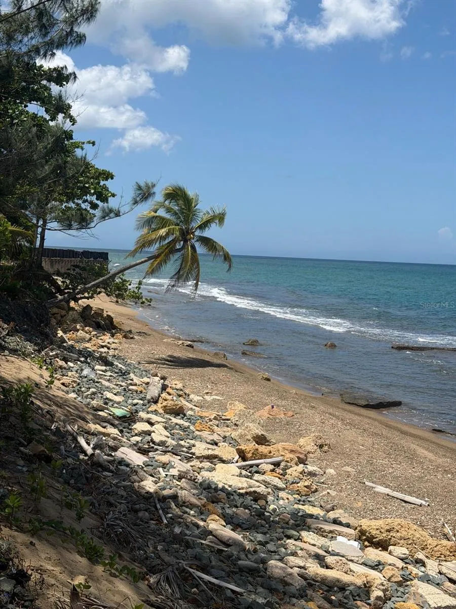 CALLE BRISAS DEL MAR BO GUANIQUILLA, COMUNIDAD PALMAR NOVOA Aguada, PR 00602