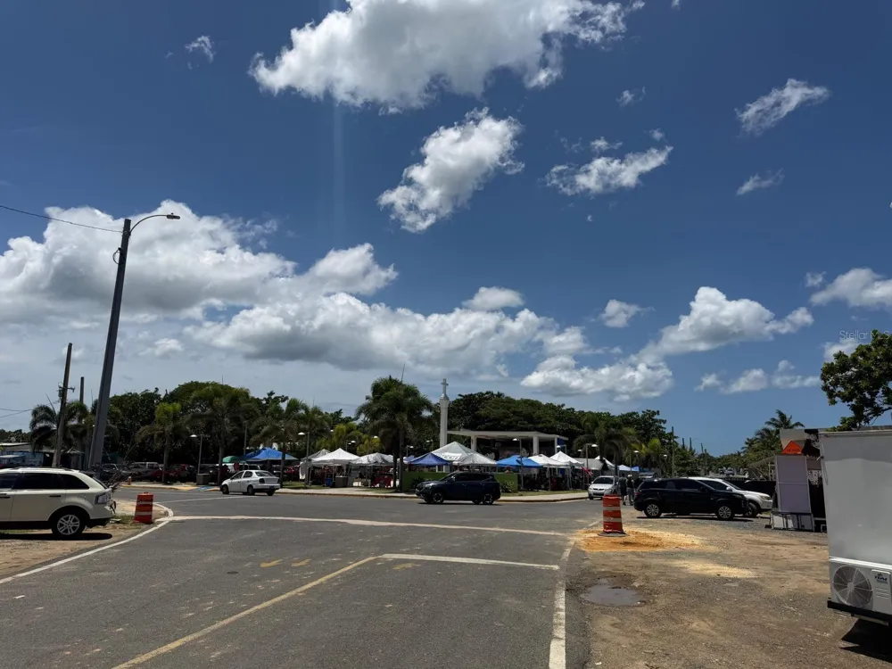 CALLE BRISAS DEL MAR BO GUANIQUILLA, COMUNIDAD PALMAR NOVOA Aguada, PR 00602