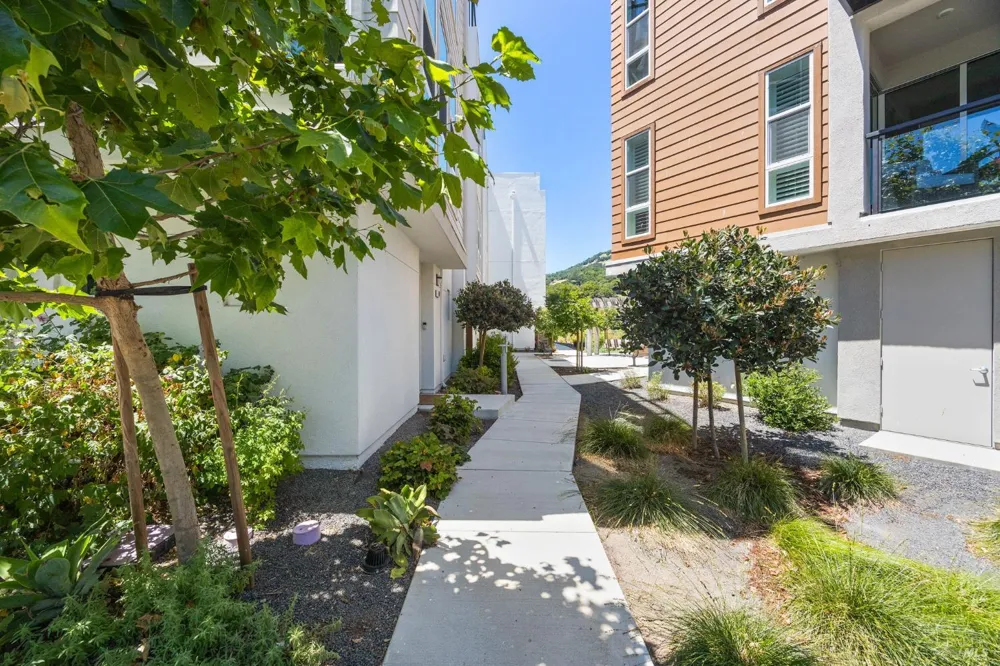 557 Valley Oaks Circle Novato, CA 94945