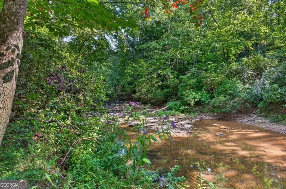 240 Collins PL Waleska, GA 30183