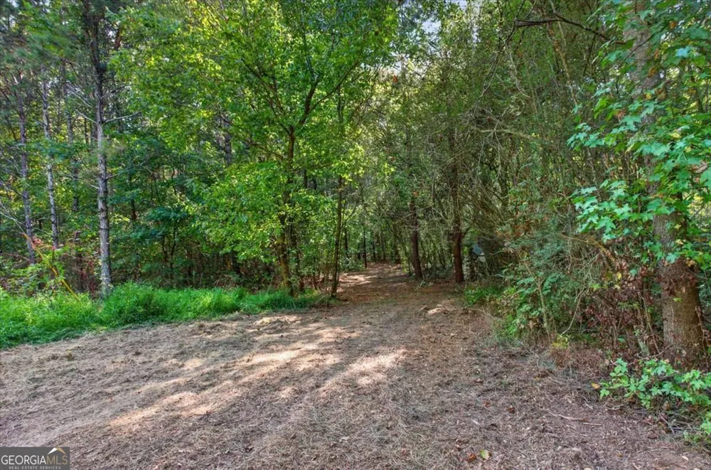 240 Collins PL Waleska, GA 30183