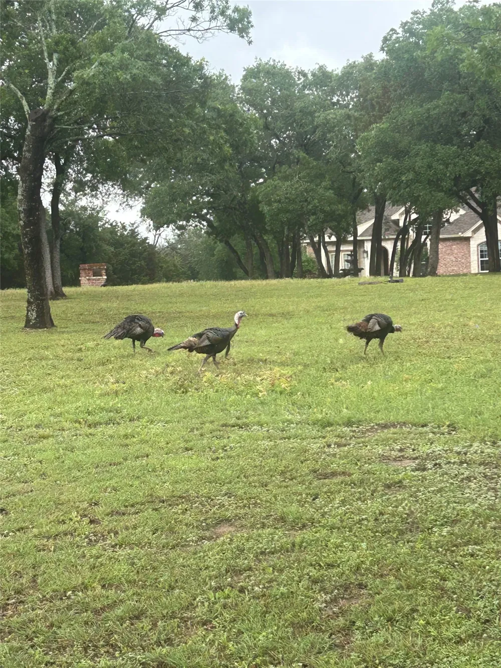 700 Lost Hunters China Spring, TX 76633