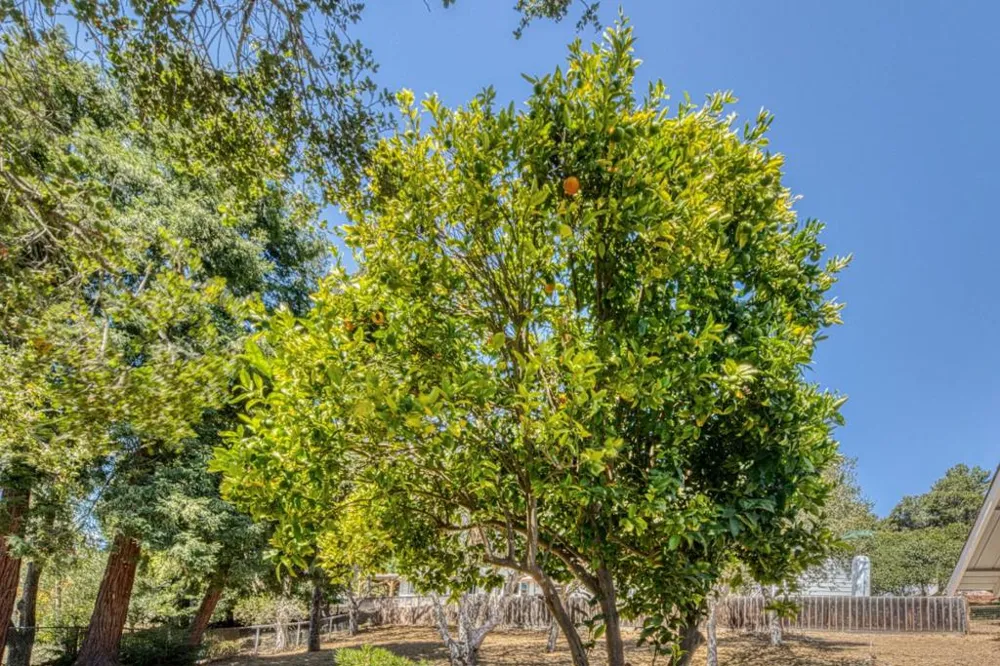 17963 Berta Canyon Road Salinas, CA 93907