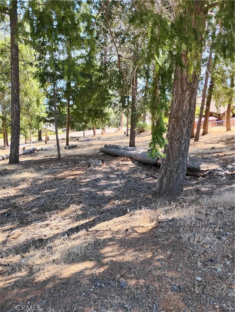 3556 Meadow Wood Kelseyville, CA 95451