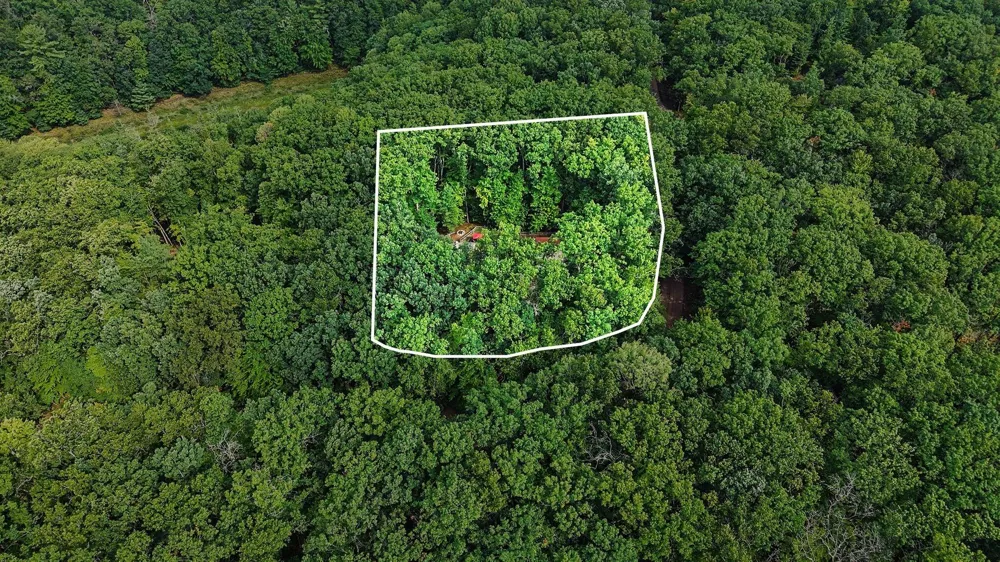 9051 S Trail Of The Lakes Lane Baldwin, MI 49304