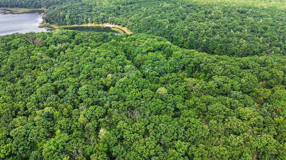 9051 S Trail Of The Lakes Lane Baldwin, MI 49304