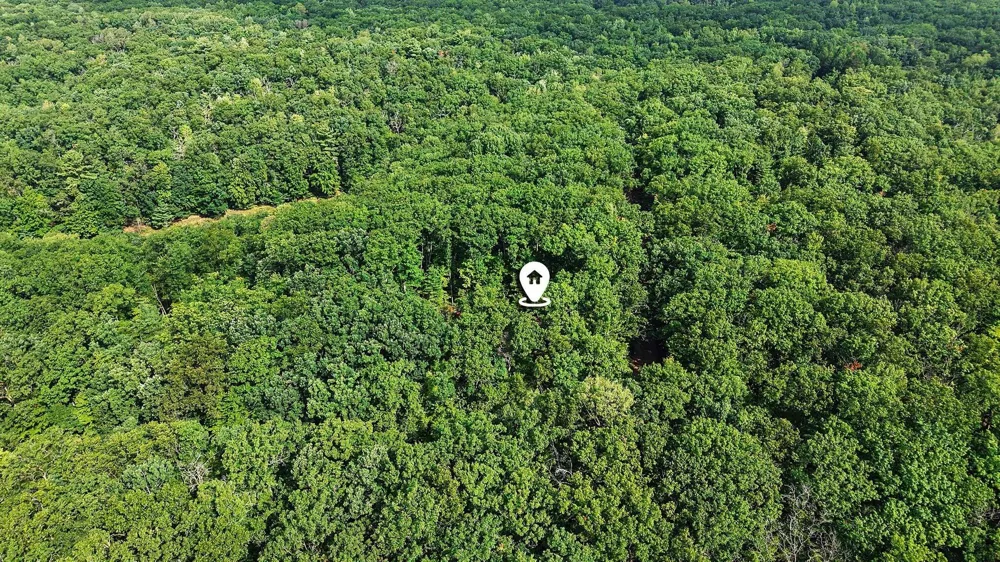 9051 S Trail Of The Lakes Lane Baldwin, MI 49304