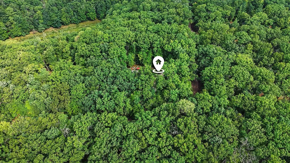 9051 S Trail Of The Lakes Lane Baldwin, MI 49304