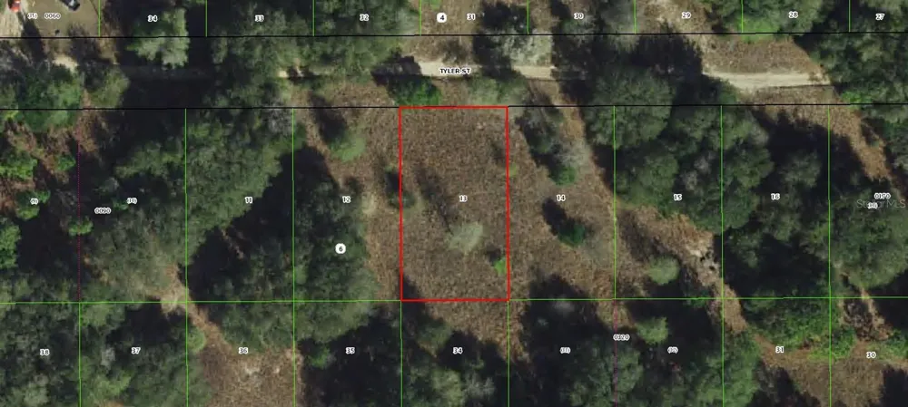 2407 TYLER STREET Inverness, FL 34453