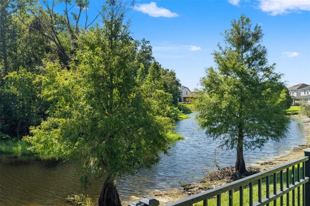 16361 HYDE MANOR DRIVE Tampa, FL 33647