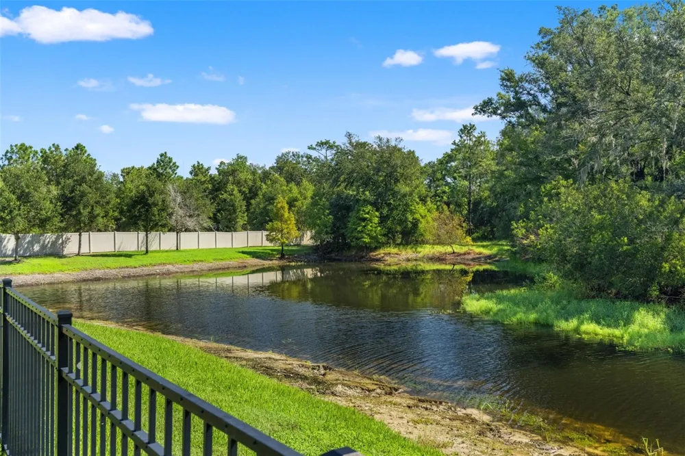 16361 HYDE MANOR DRIVE Tampa, FL 33647