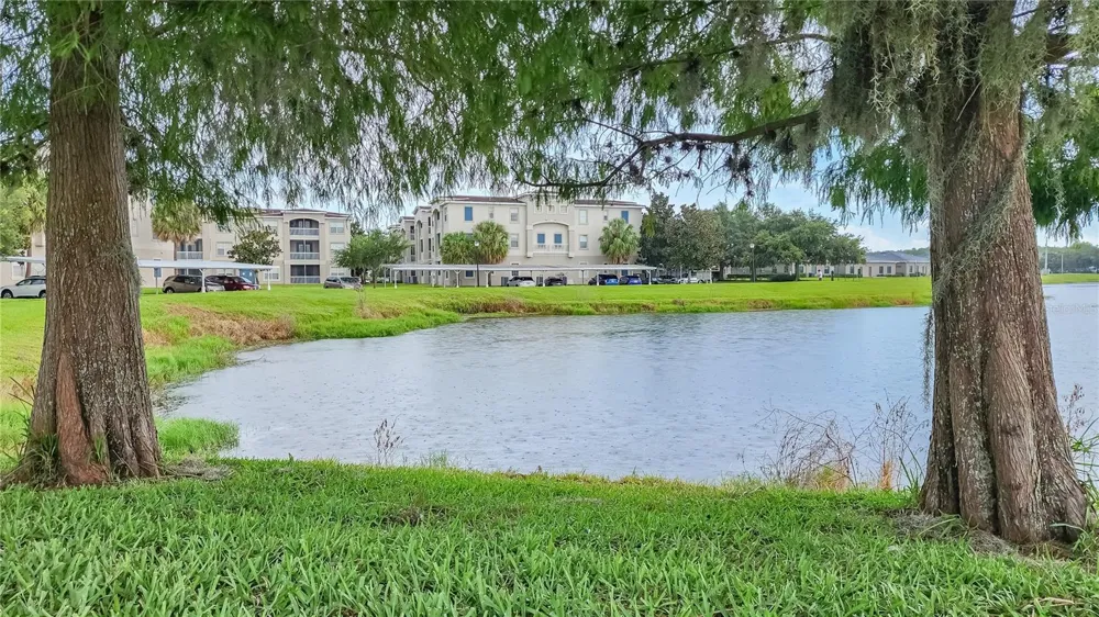 3351 WHITESTONE CIRCLE #101 Kissimmee, FL 34741
