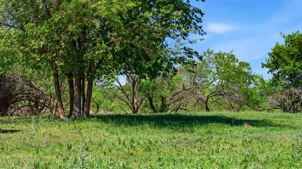 6947 Moody Road Moody, TX 76557