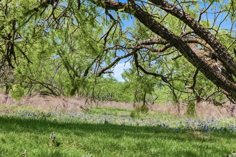 6947 Moody Road Moody, TX 76557