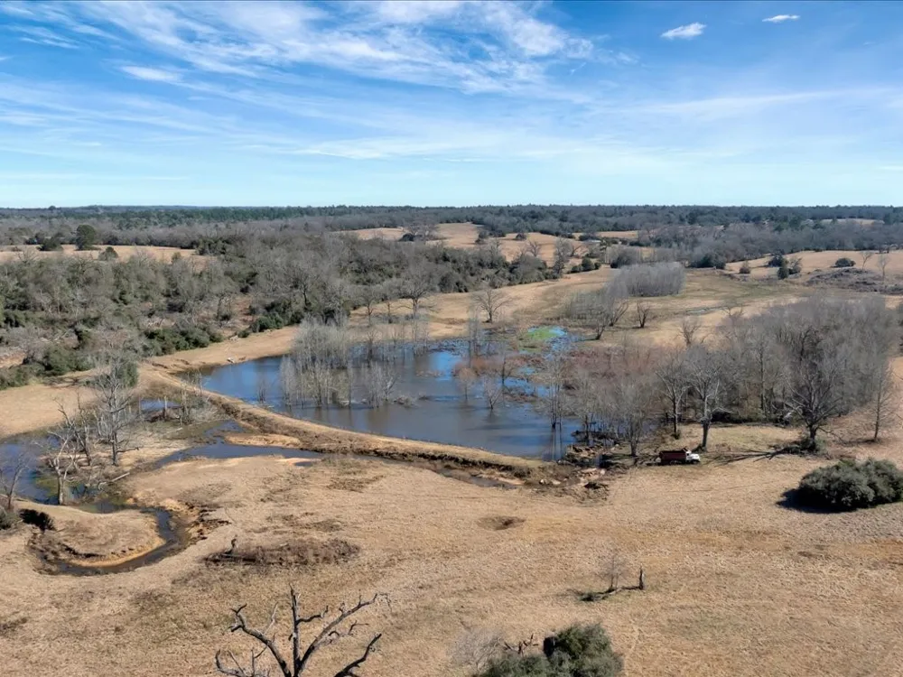 County Road 275 Buffalo, TX 75831