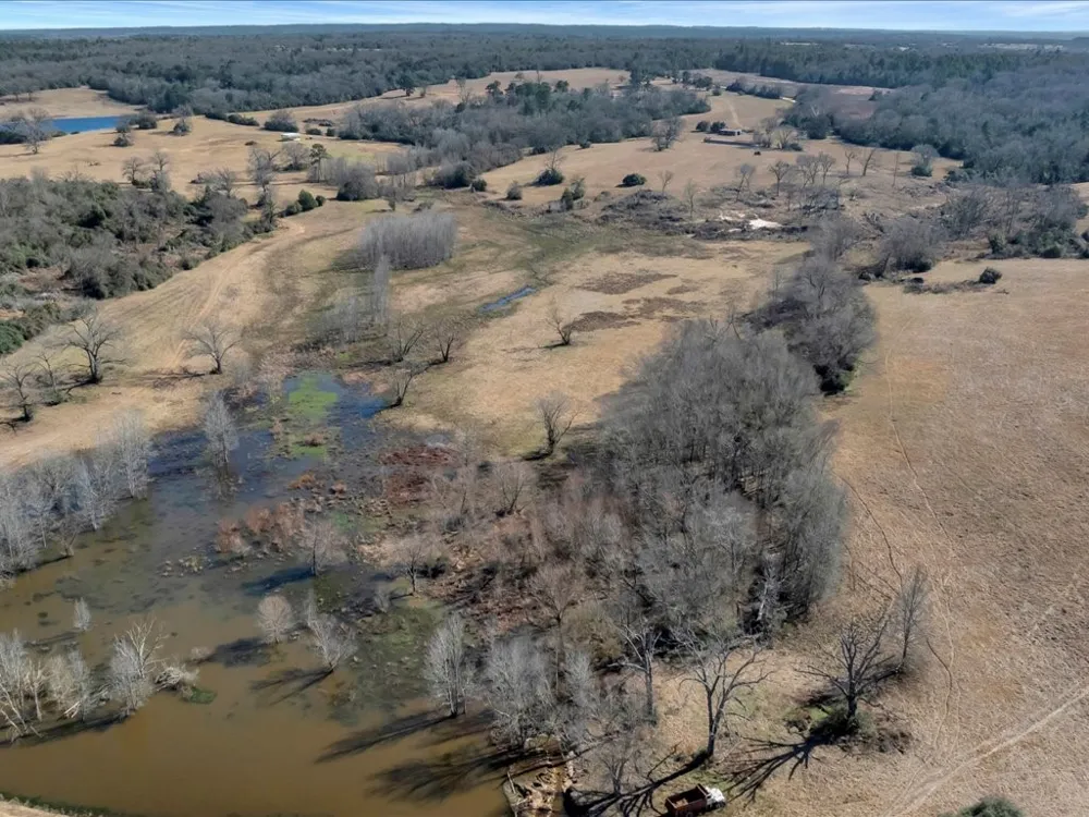 County Road 275 Buffalo, TX 75831