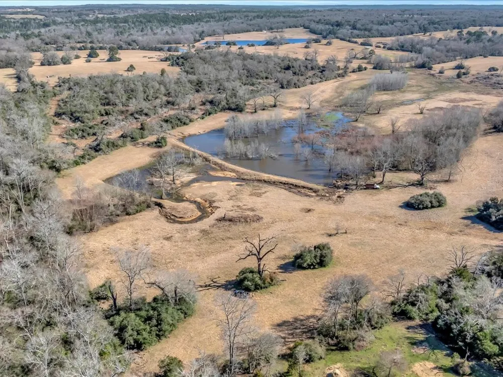 County Road 275 Buffalo, TX 75831