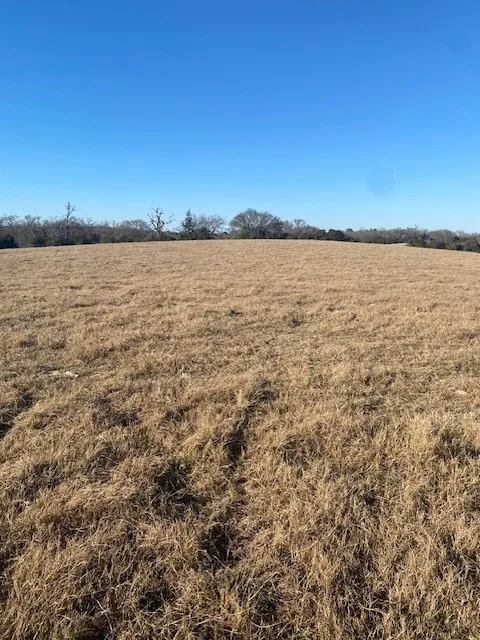County Road 275 Buffalo, TX 75831