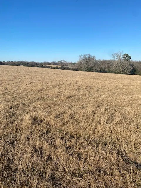 County Road 275 Buffalo, TX 75831