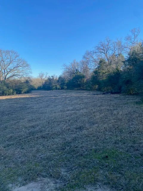 County Road 275 Buffalo, TX 75831