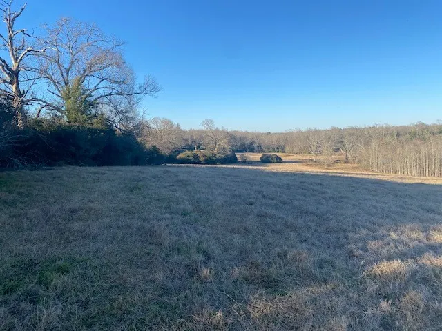 County Road 275 Buffalo, TX 75831