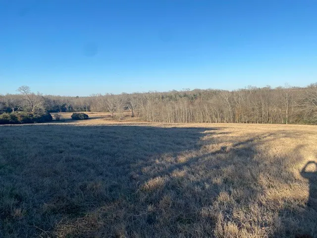 County Road 275 Buffalo, TX 75831