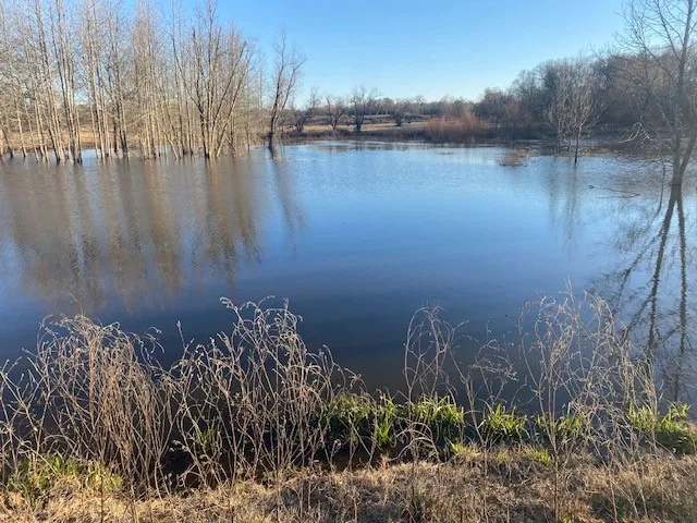 County Road 275 Buffalo, TX 75831
