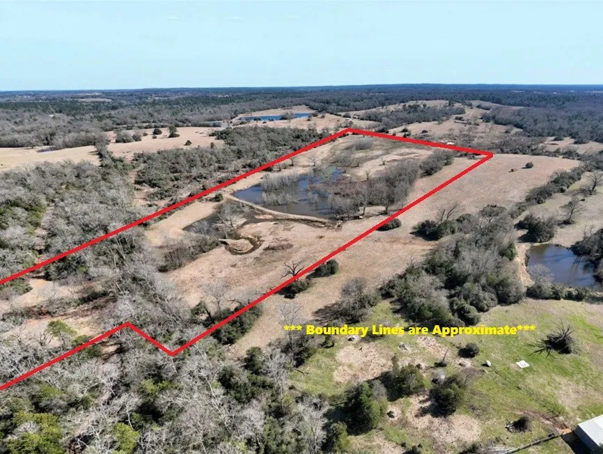 County Road 275 Buffalo, TX 75831