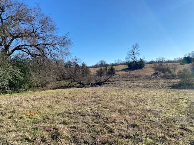 County Road 275 Buffalo, TX 75831