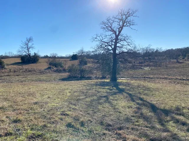 County Road 275 Buffalo, TX 75831
