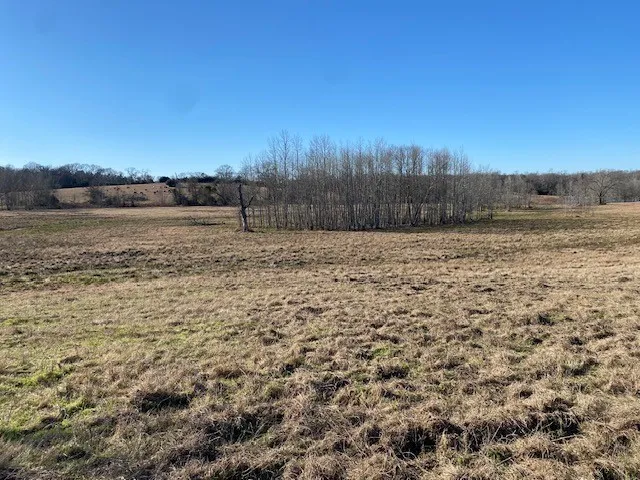 County Road 275 Buffalo, TX 75831