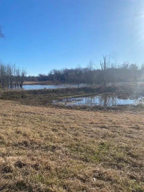 County Road 275 Buffalo, TX 75831